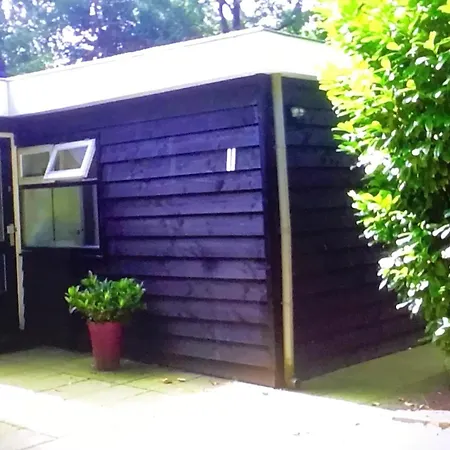 Knusse Met Binnen En Buitenzwembad Op Het Park