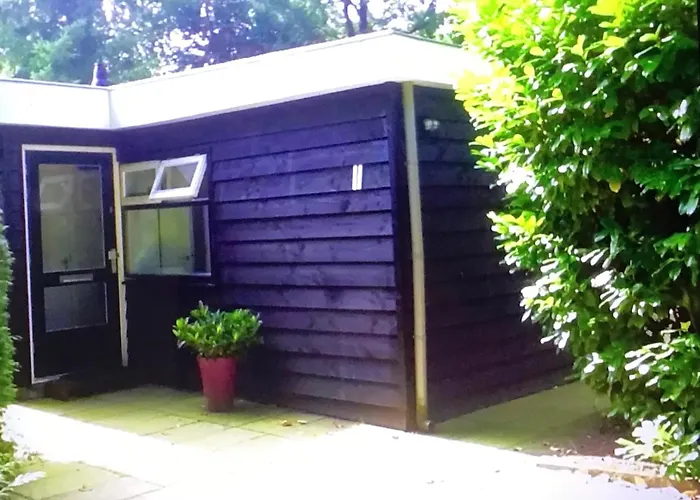 Knusse Met Binnen En Buitenzwembad Op Het Park